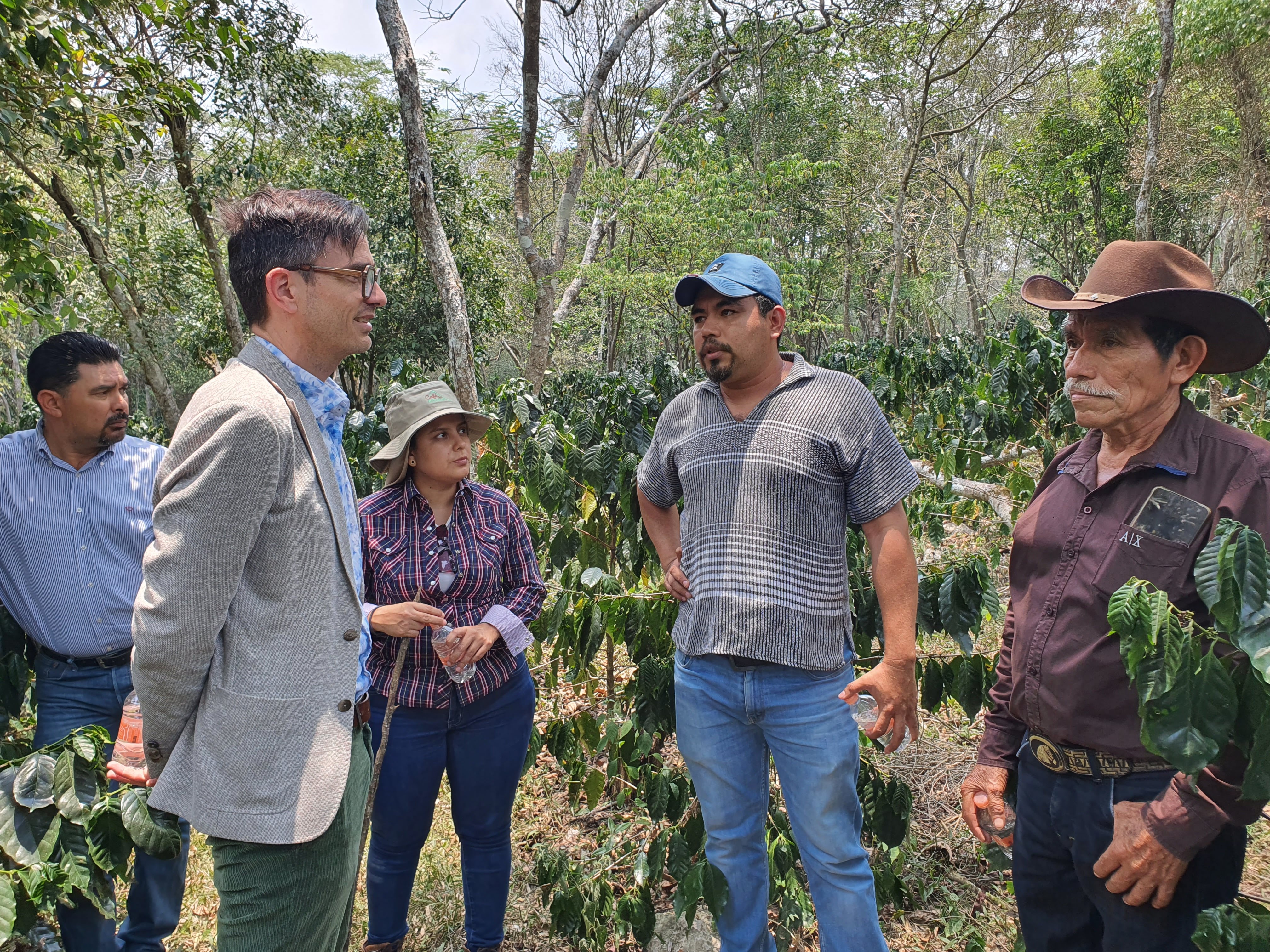 Projet café Chiapas