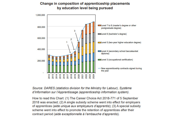 The Outcomes and Objectives of Apprenticeships in France