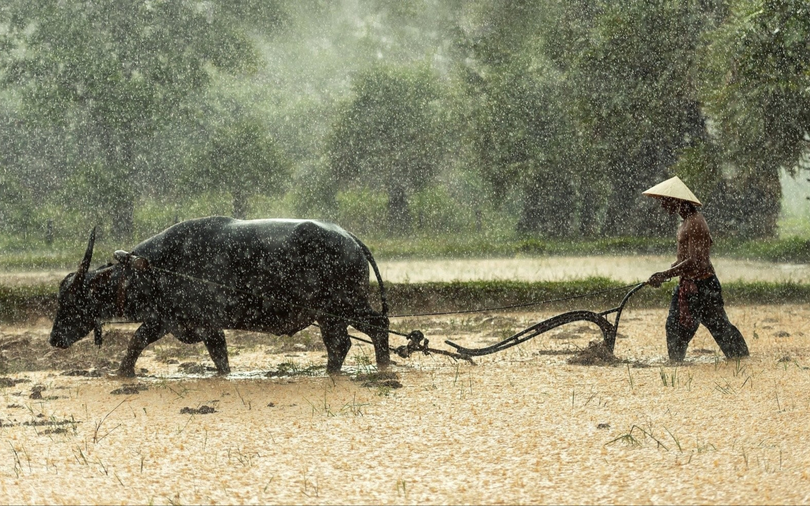 Brèves de l'ASEAN semaine 4 (2020)