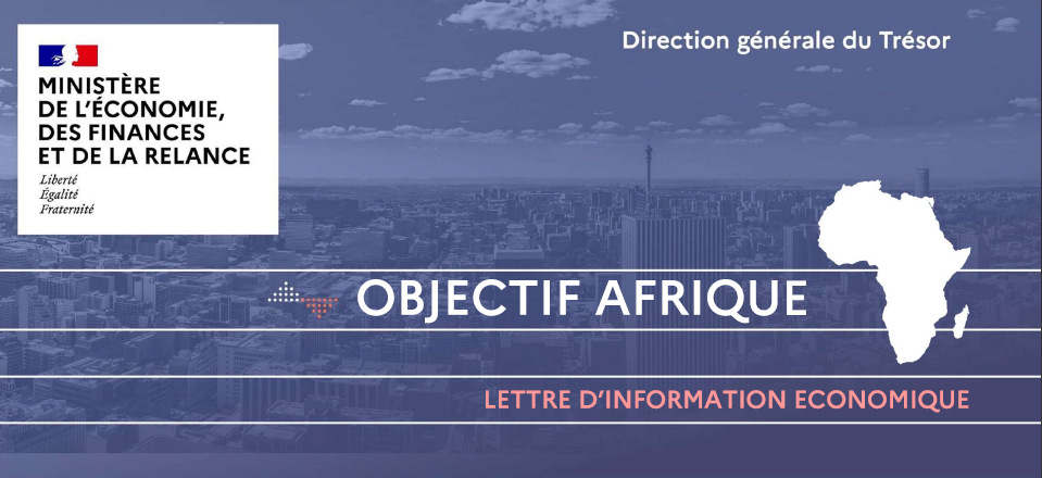 objectif afrique