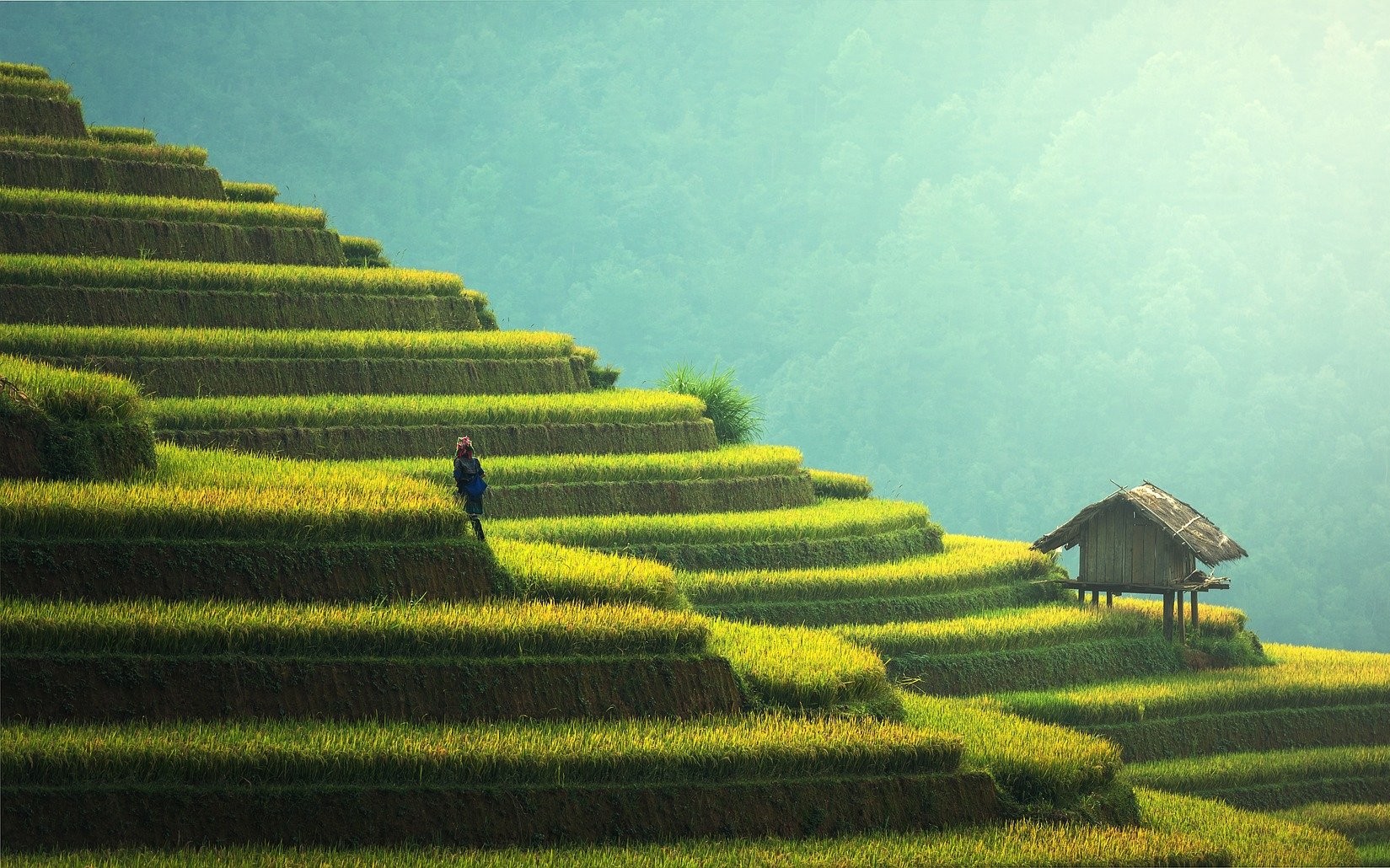 Brèves de l'ASEAN semaine 47 (2020)