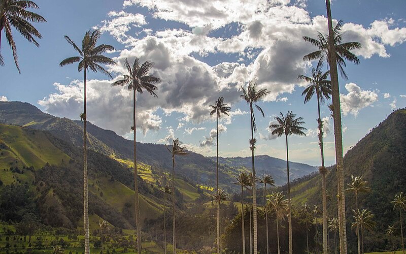 Amérique Andine et plateau des Guyanes : Brèves du 7 février au 13 février 2025 (7e semaine)