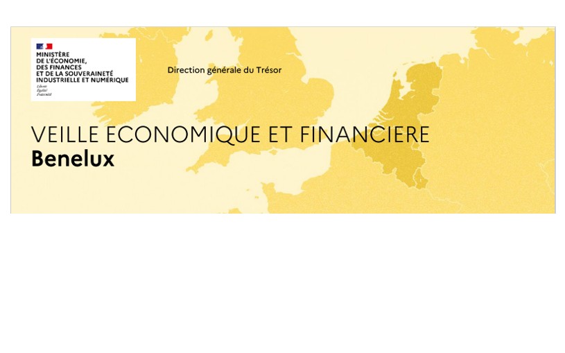 Veille économique et financière Benelux Mai 2025