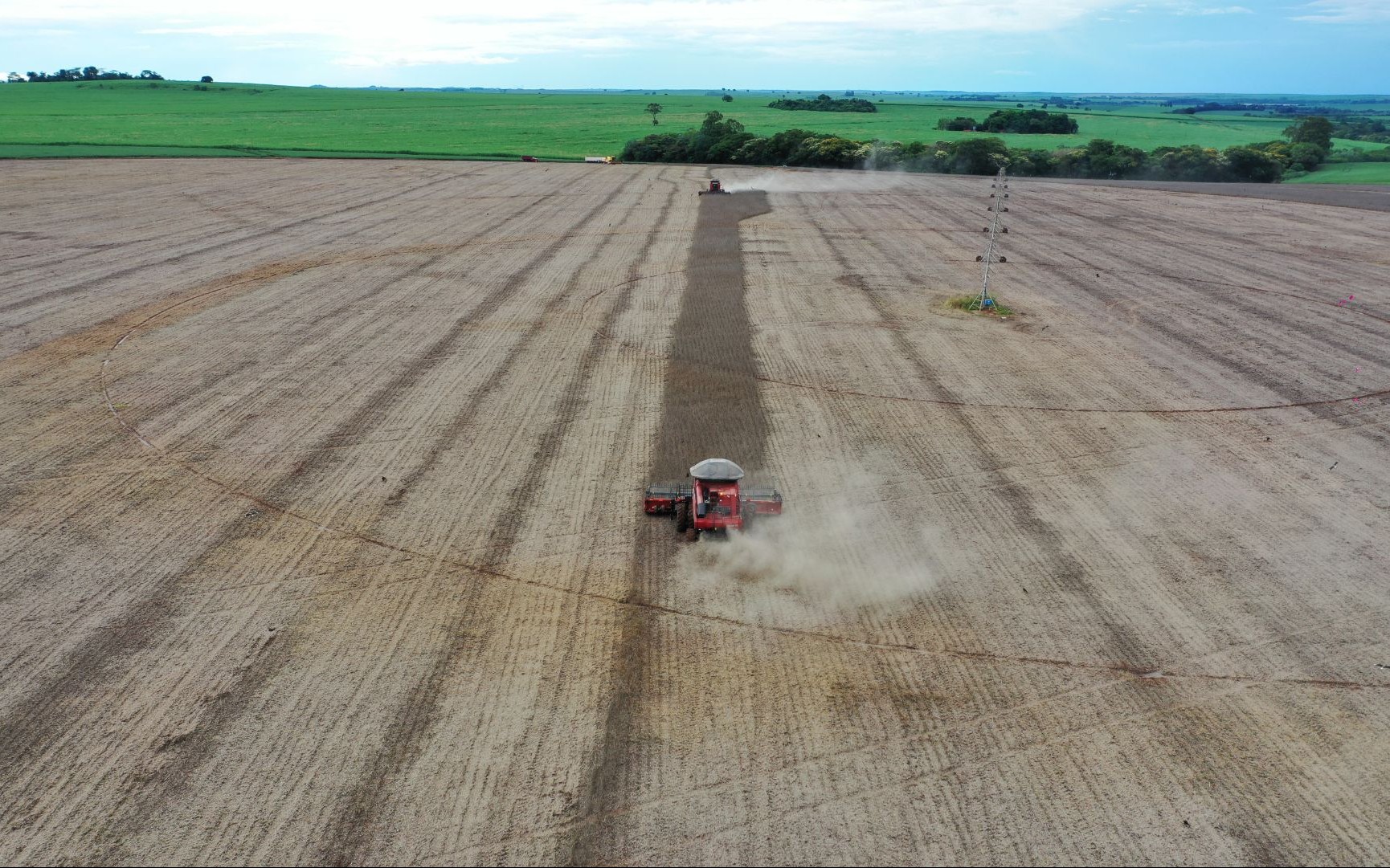 Lettre d’actualités « Agriculture et Agroalimentaire » pour le mois de février 2026 