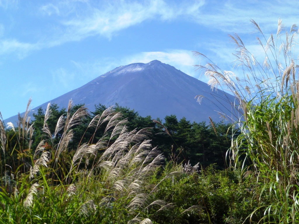 Paysage naturel japonais - Source Biodiversity Center of Japan