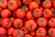 Tomates génome modifié