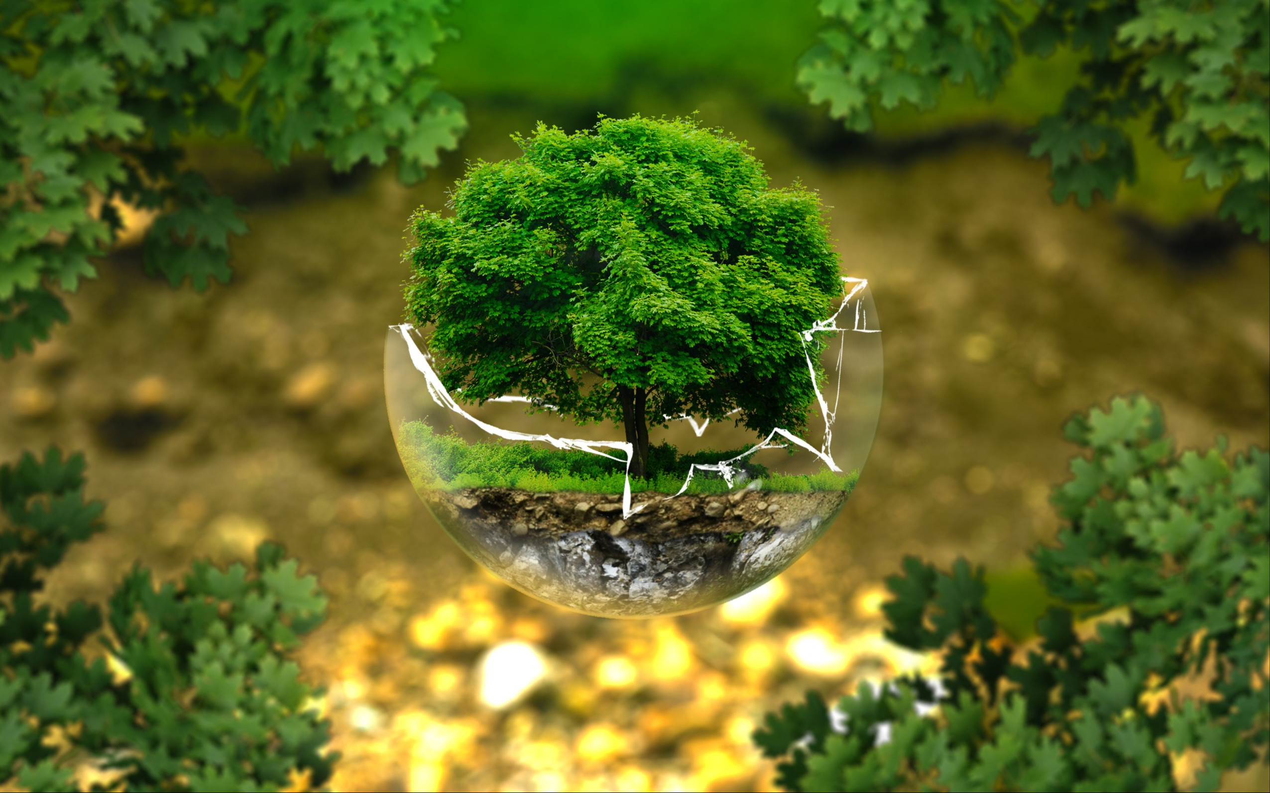 Conférence de reconstitution des ressources du Fonds vert pour le climat