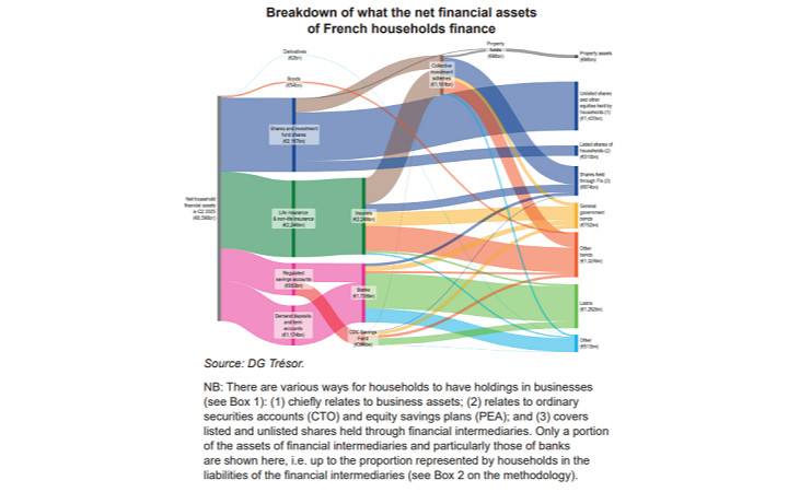What Do the Financial Savings of French Households Finance?