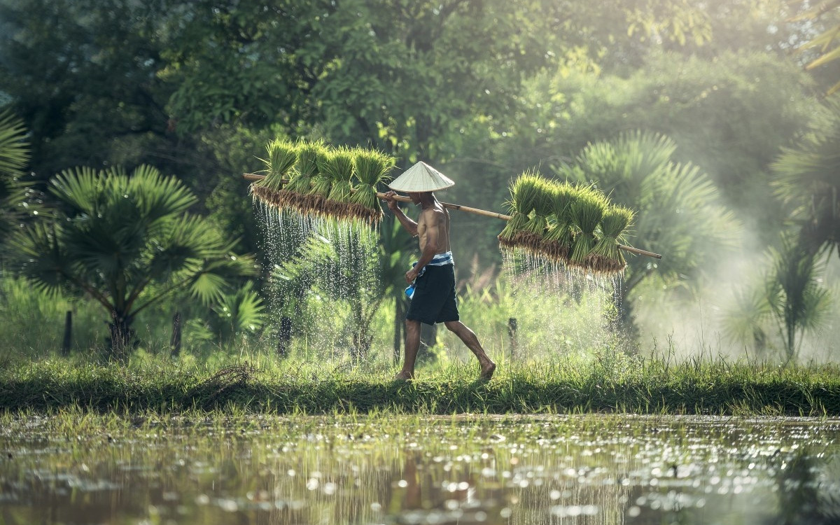 Brèves de l'ASEAN semaine 47 (2019)