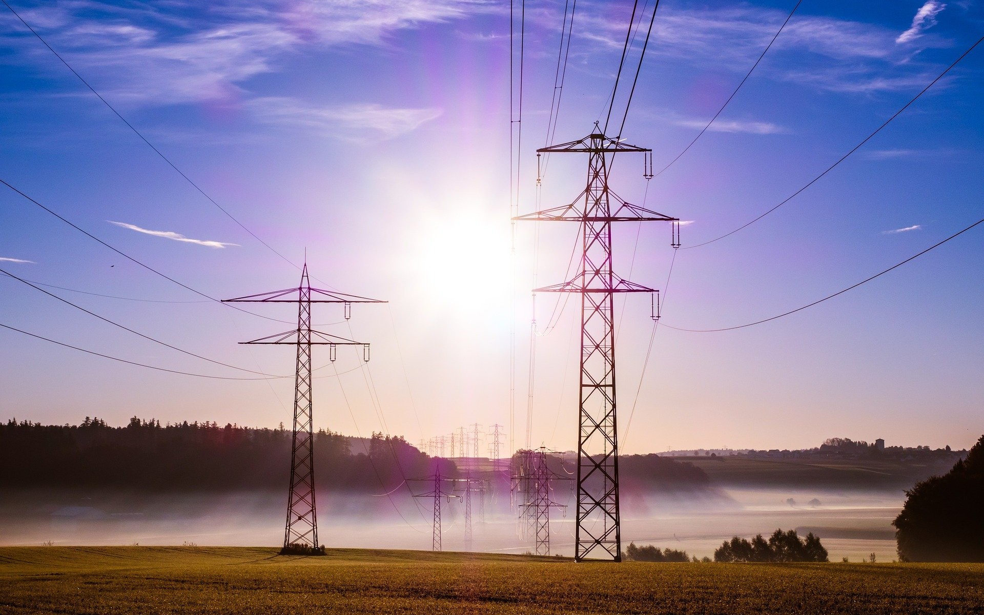 Veille régionale du pôle développement durable: Mai 2026