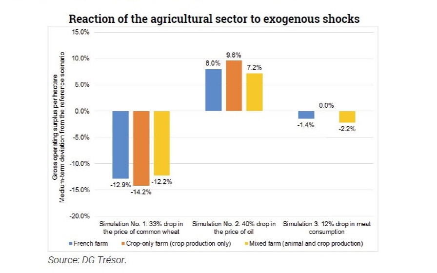 Trésor-Economics No. 240 - French agriculture and external shocks