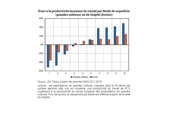 Productivité et impact environnemental des exploitations agricoles selon leur taille