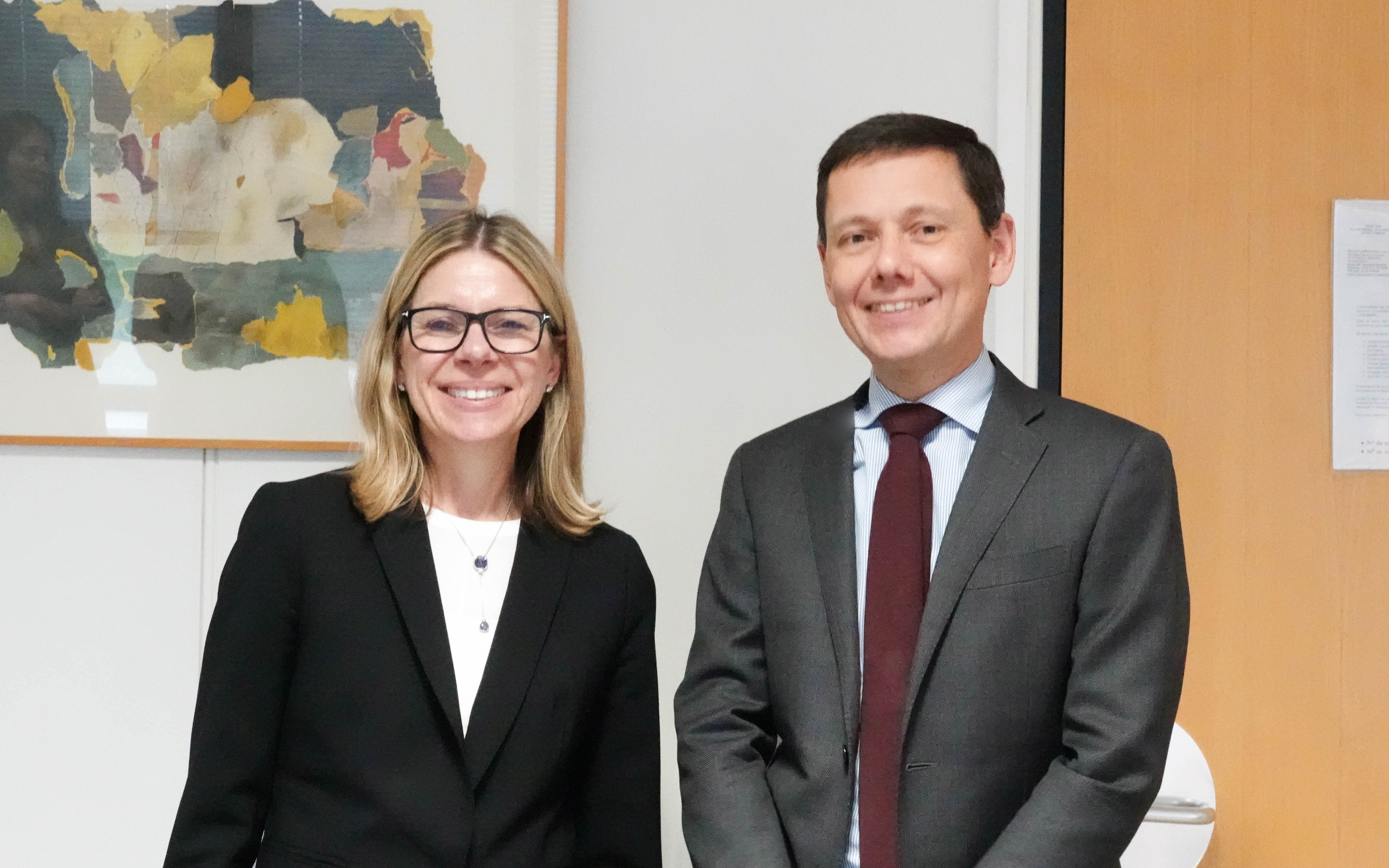Contribution de la France au Programme pour les stratégies de long terme
