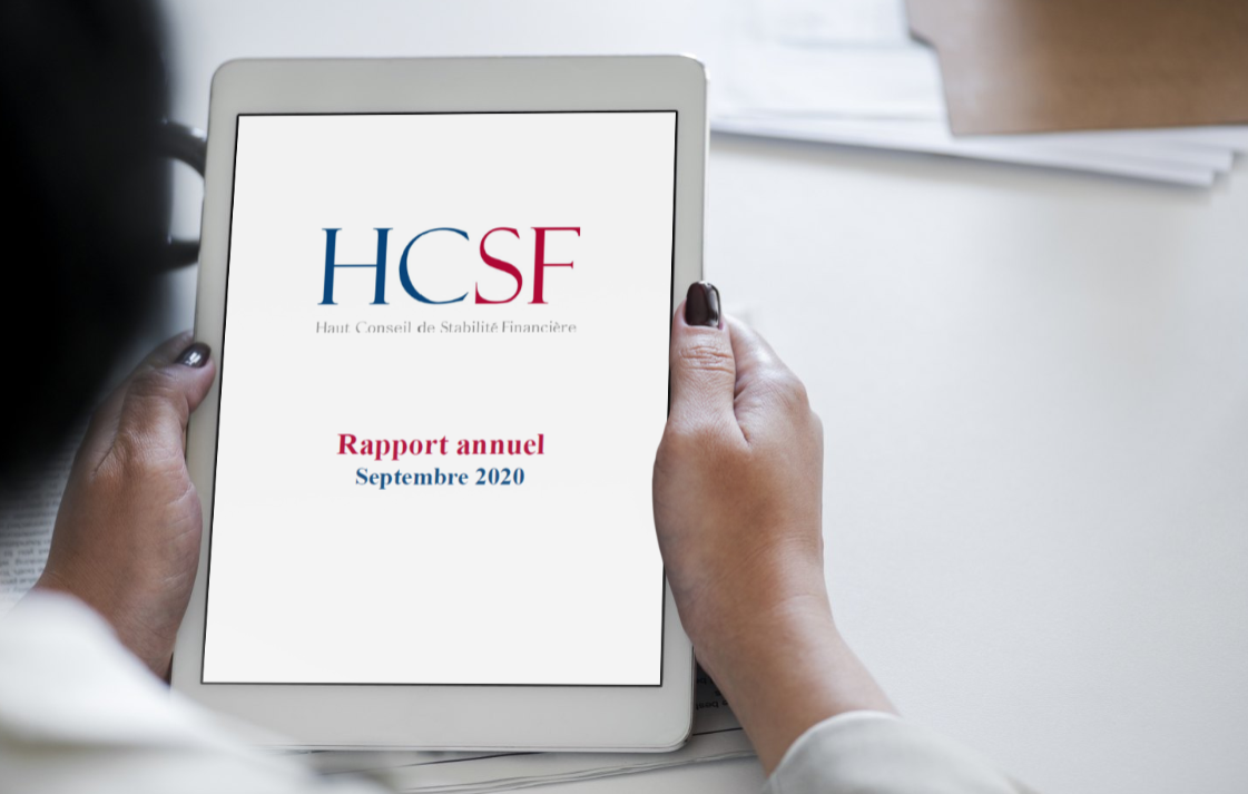 rapport annuel HCSF