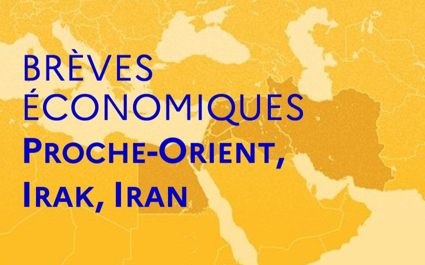 Brèves Economiques du Proche-Orient n° 13-2026