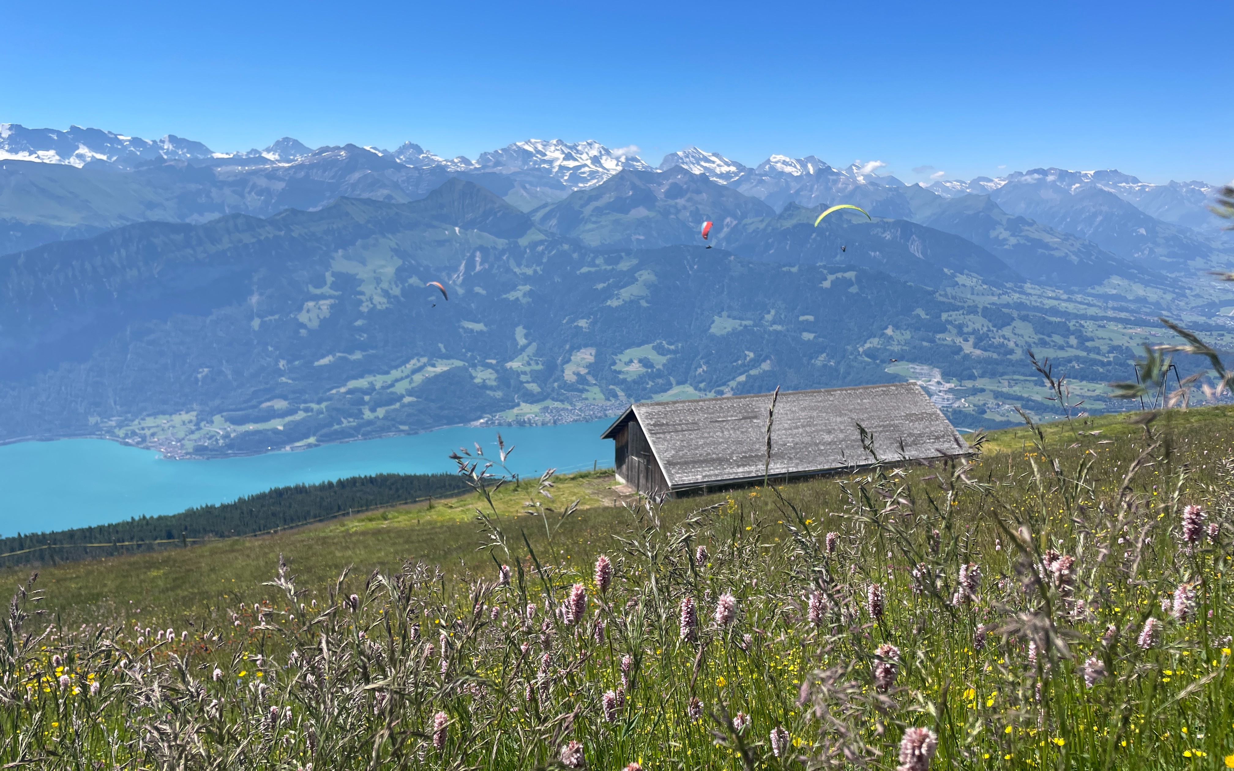 Suisse - Veille économique et financière du 27 juin au 4 juillet 2025