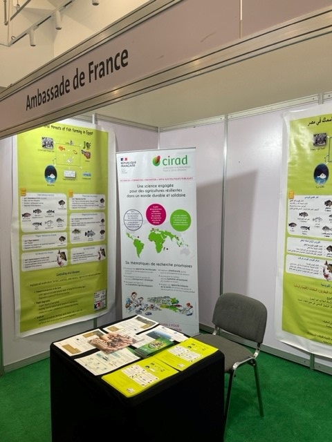 Stand de l'Ambassade de France