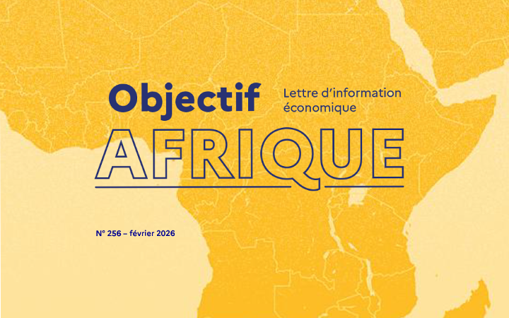 visuel objectif afrique n256