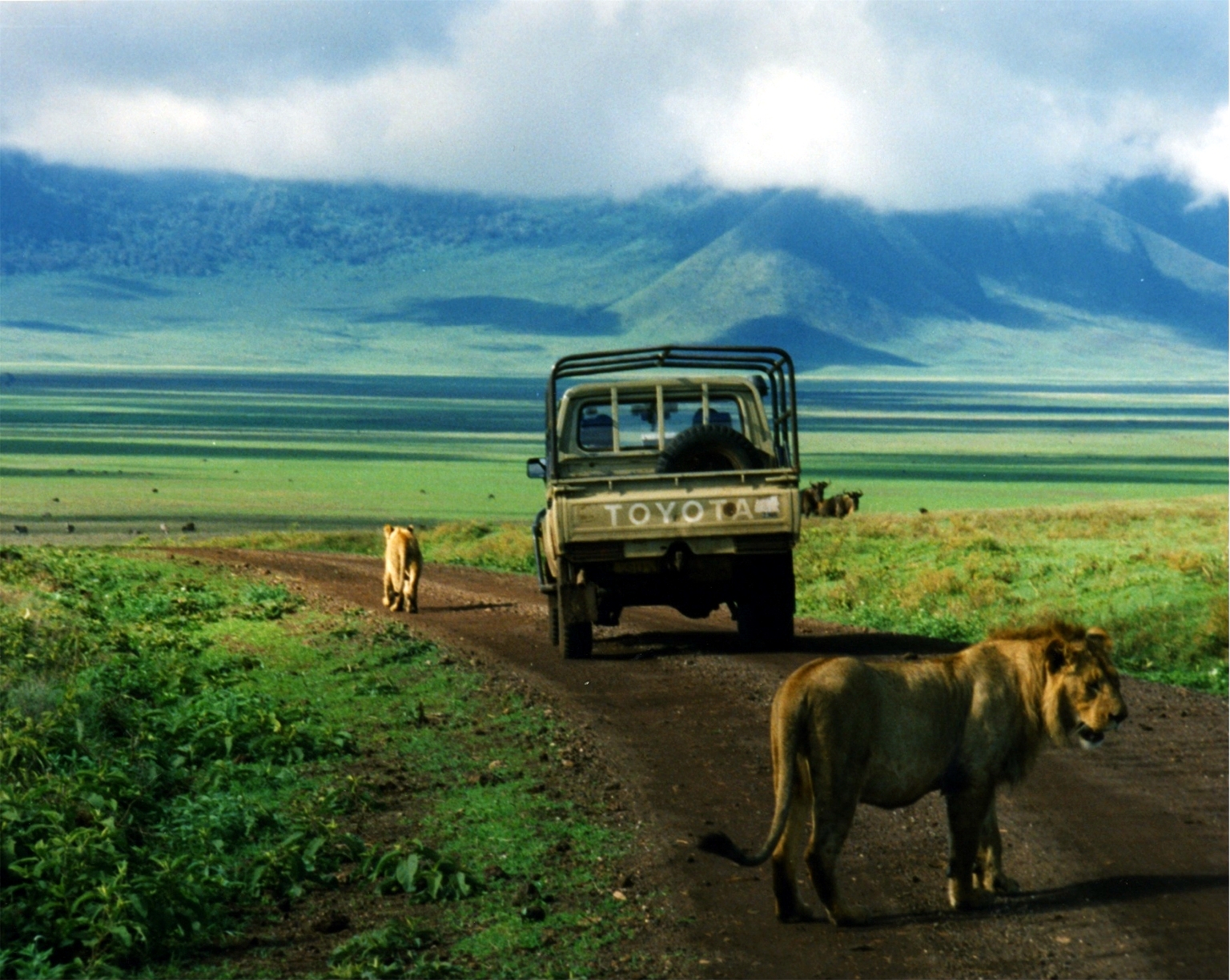 Les safaris, une attraction touristque majeure en Tanzanie