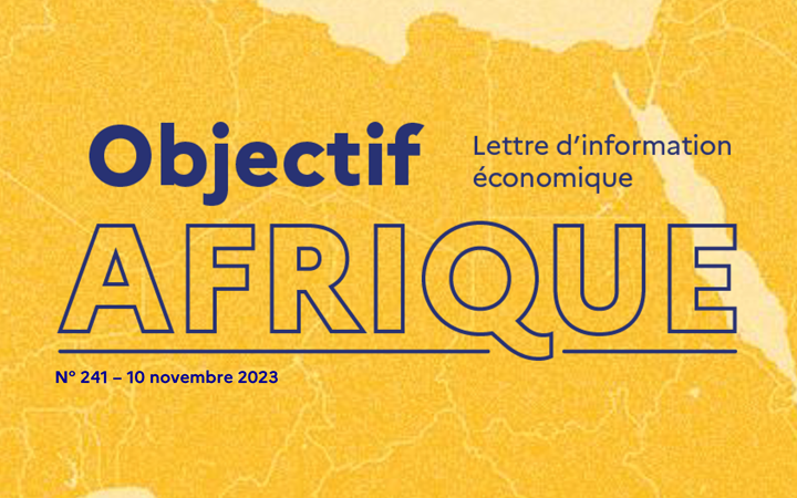 une d'objectif Afrique novembre 2023