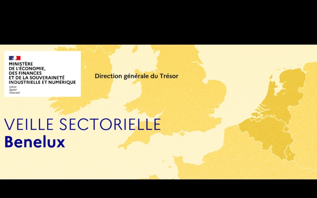 Veille sectorielle BENELUX novembre-décembre 2024