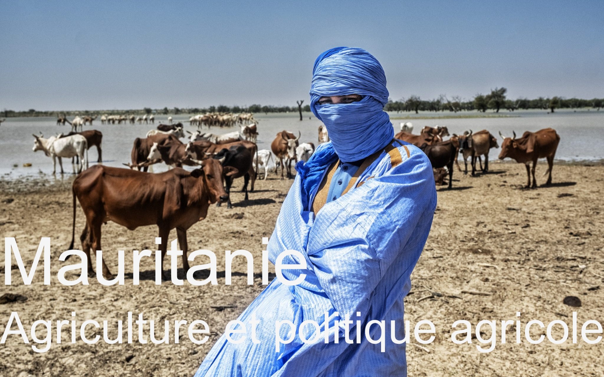 Mauritanie - Agriculture et politique agricole