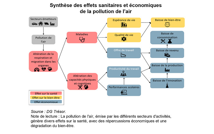 Pollution de l'air : au-delà des effets sanitaires des répercussions économiques importantes