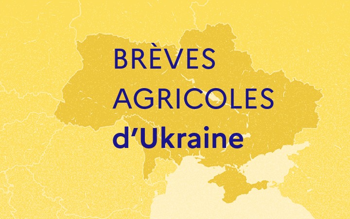 Brèves agricoles d'Ukraine & de Moldavie (décembre 2025)