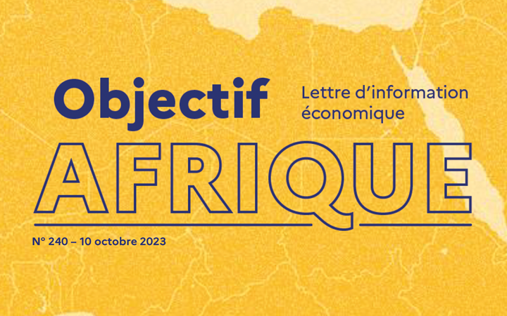 objectif afrique 240