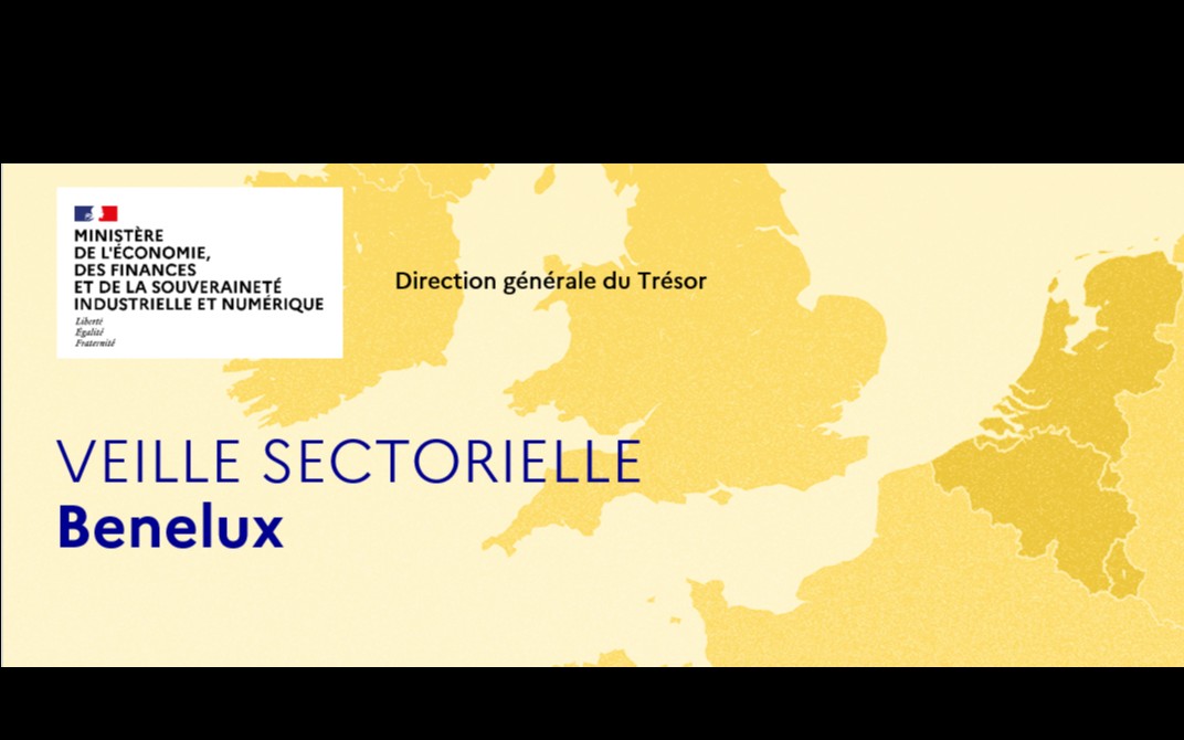 Veille sectorielle Benelux janvier-février 2025