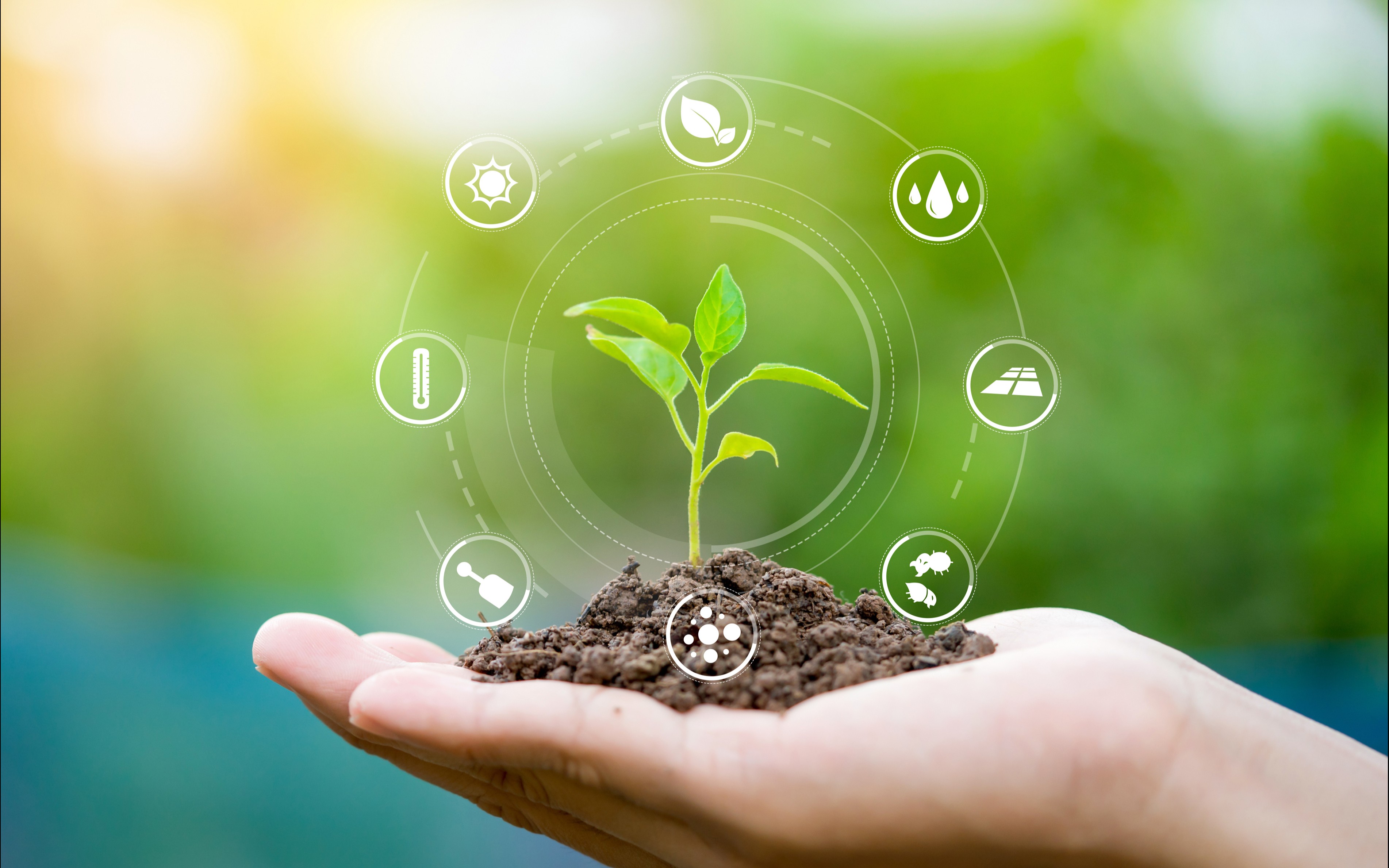 APPEL A PROJETS FASEP 2023 : "AGRICULTURE ET ALIMENTATION DURABLES"