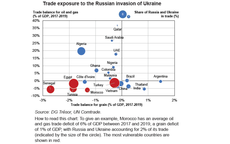 Impacts of the Russian Invasion of Ukraine  on Emerging Economies