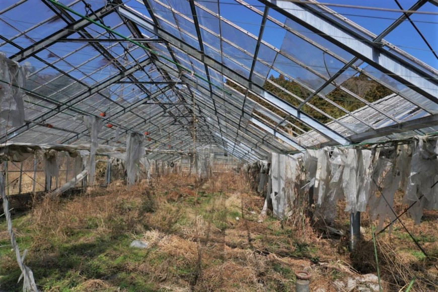 Serres abandonnées à Fukushima