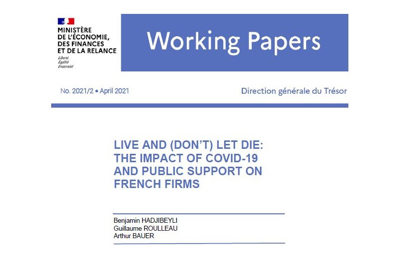 Live and (don't) let die: The impact of Covid-19 and public support on French firms