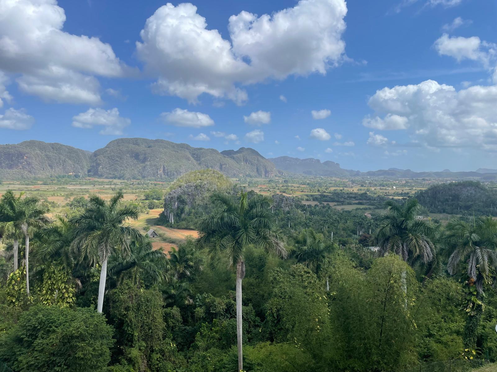 Viñales