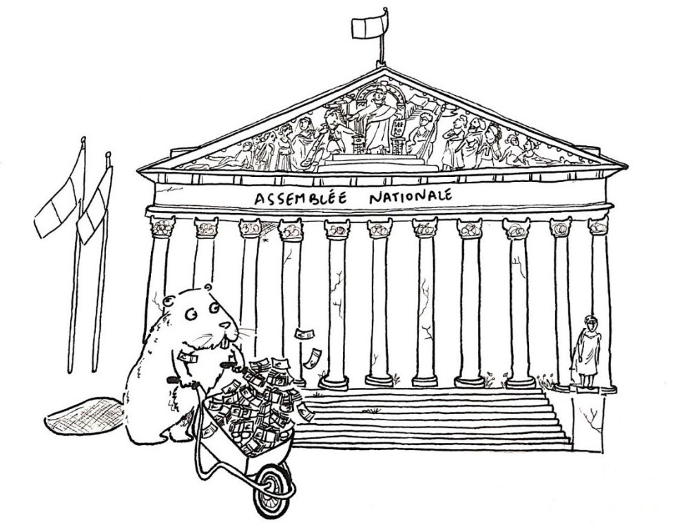 illustration d'un castor avec une brouette devant l'assemblée nationale