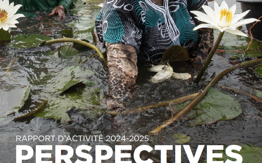 Publication du rapport d’activité 2024-2025 du Fonds français pour l’environnement mondial (FFEM) 