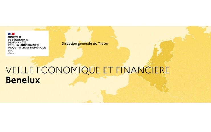 Veille économique et financière Benelux Janvier 2025