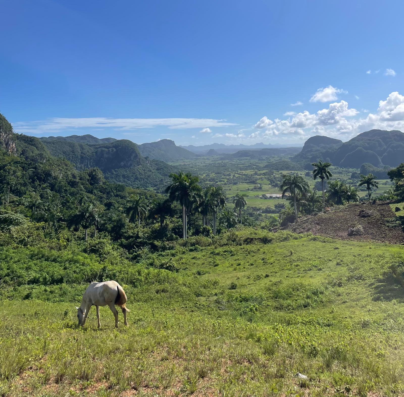 Viñales