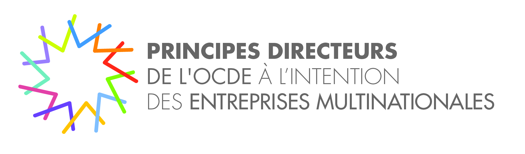 Logo Principes directeurs
