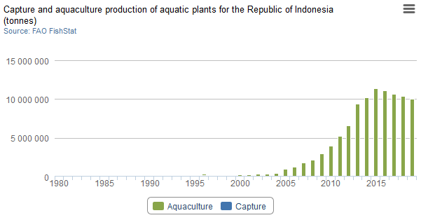 production d'algues