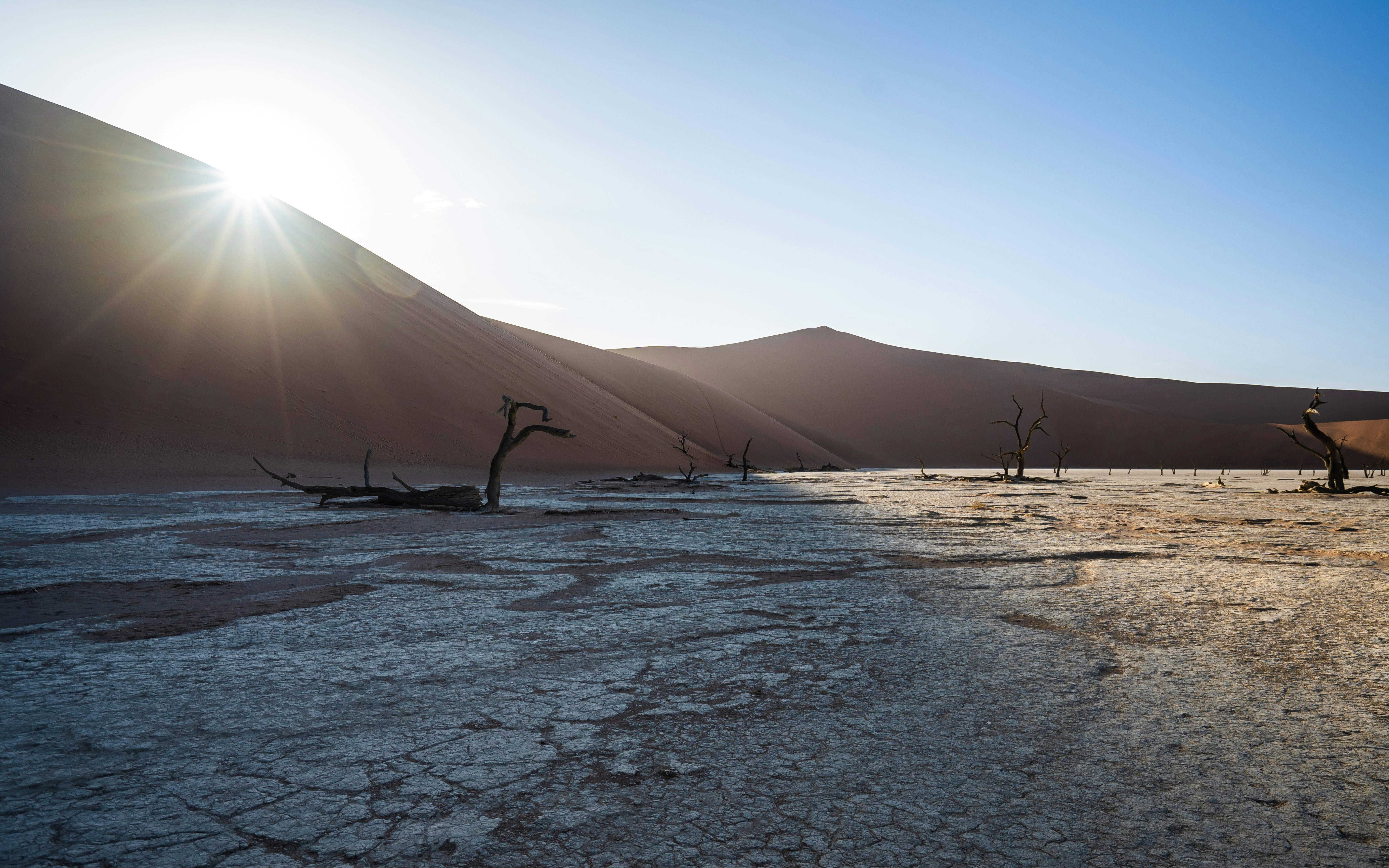 Brèves économiques d'Afrique australe - semaine 45
