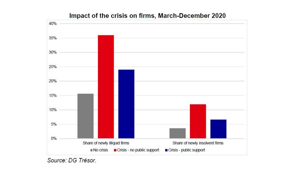 The impact of the COVID-19 pandemic on French firms