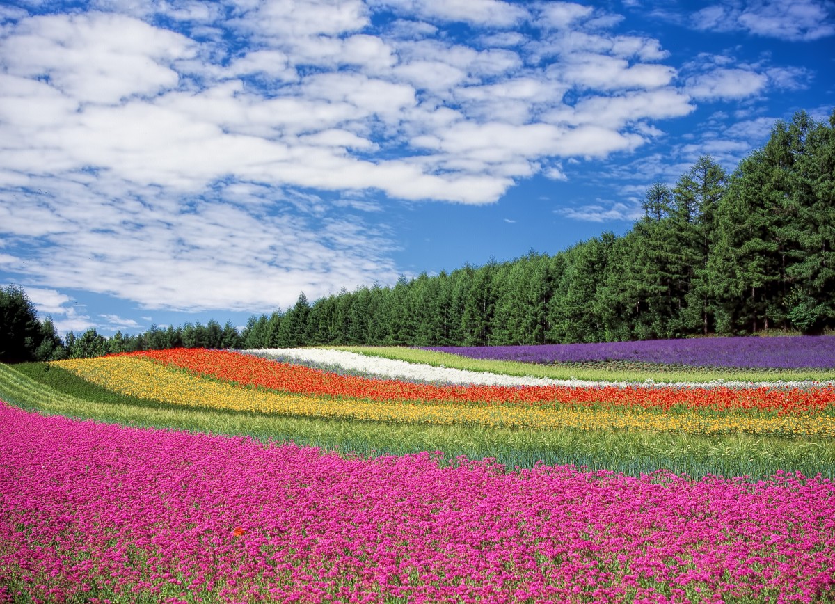 Hokkaido