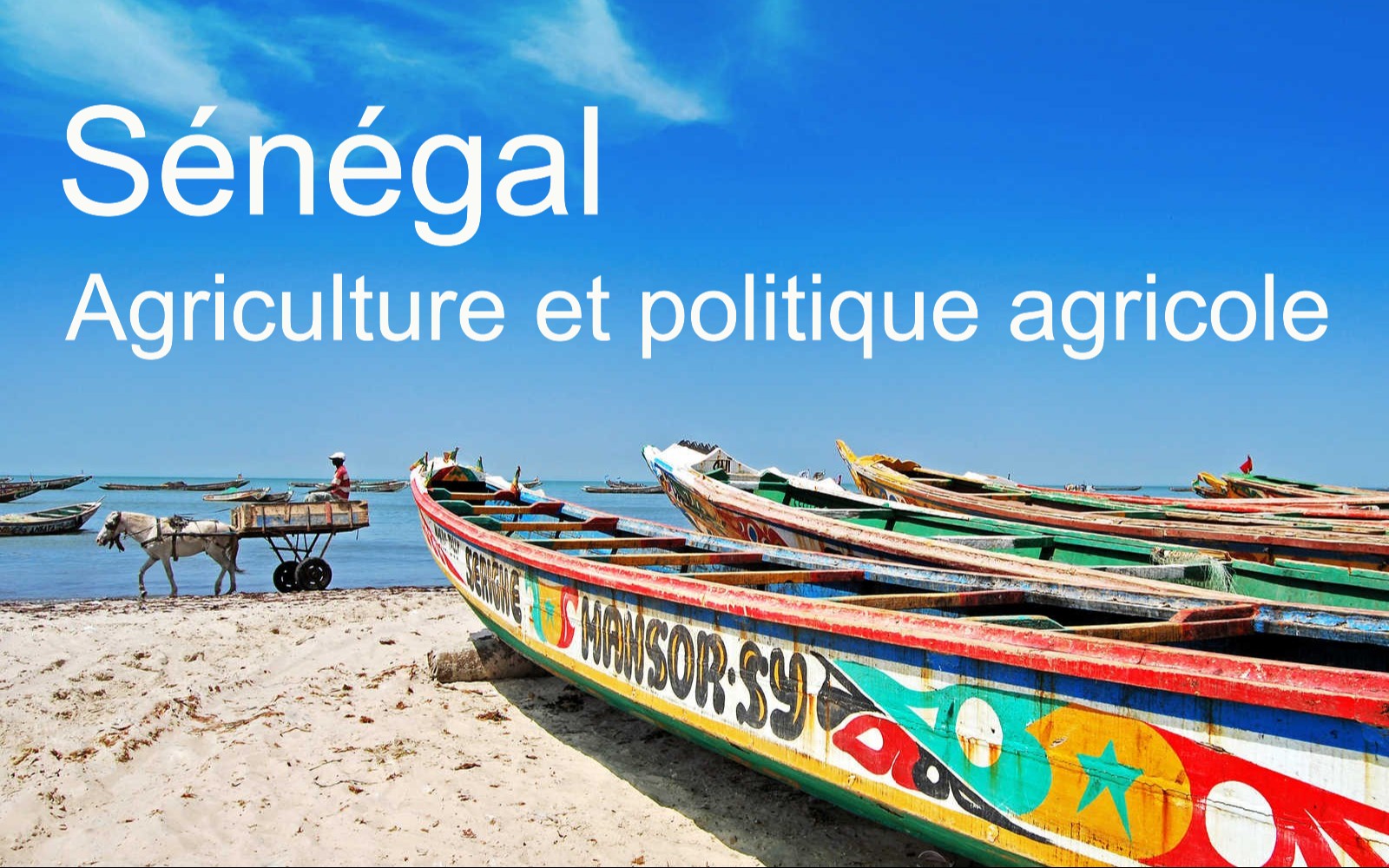 s-n-gal-agriculture-et-politique-agricole-direction-g-n-rale-du-tr-sor