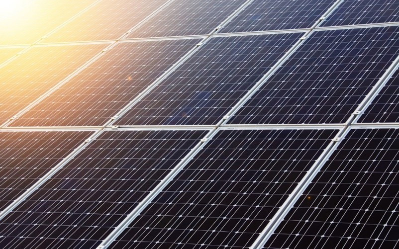 Lettre développement durable Japon - Mai 2024
