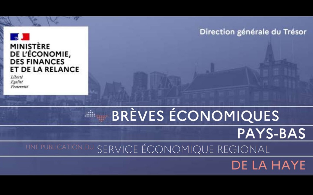 Brèves économiques Pays-Bas - n°1 février 2021