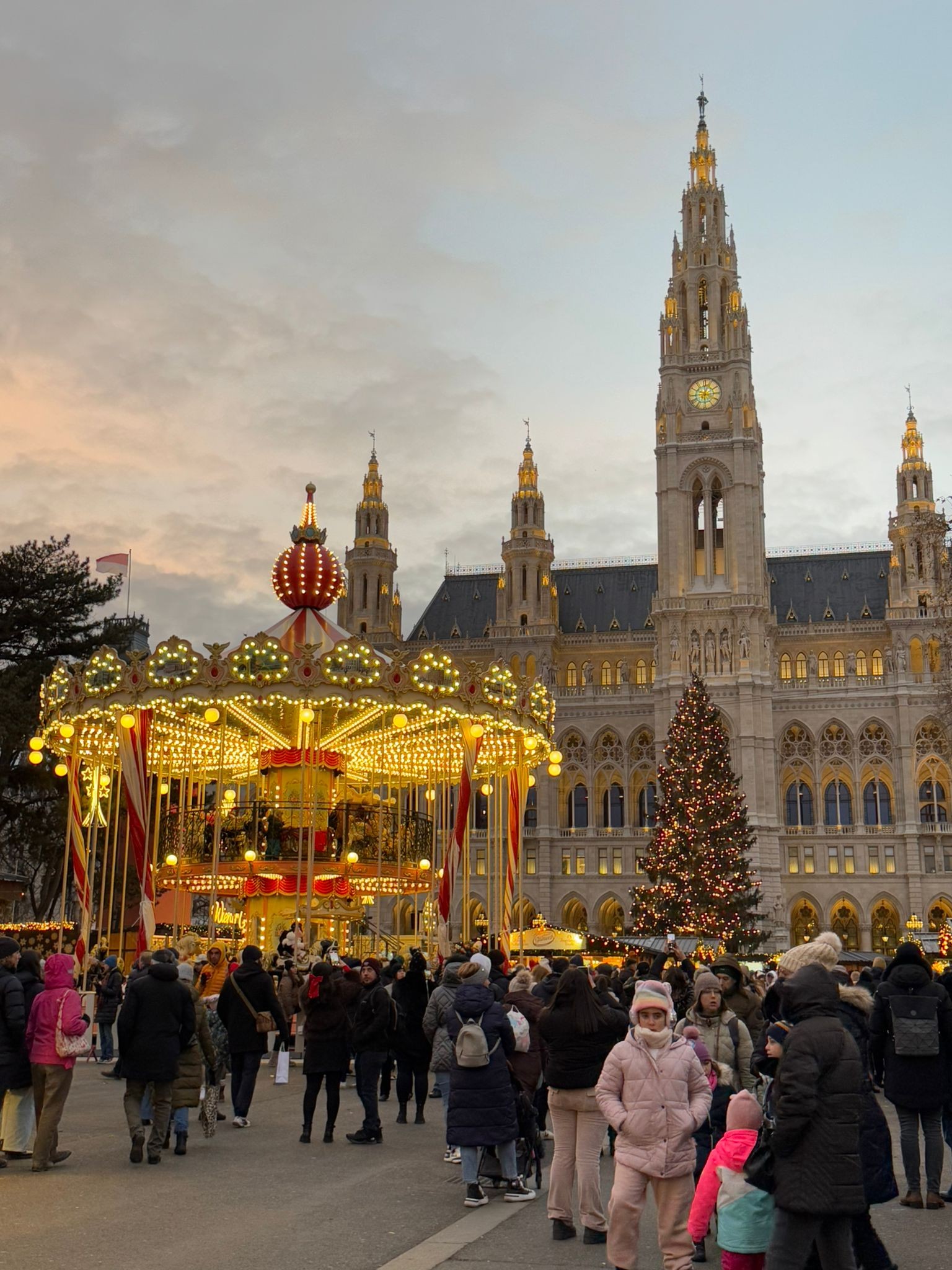 March&eacute; de No&euml;l Mairie Vienne 2025