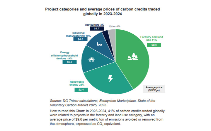 The Role of Carbon Credits in Financing  Global Climate Goals