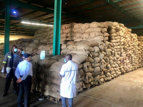 Une vue du stock des noix d'amandes de karité achétées auprès des femmes - JPEG